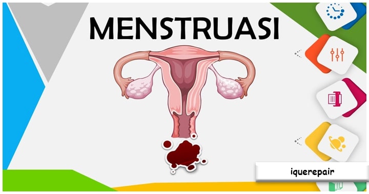 Perbedaan Siklus Menstruasi pada Fase Menstruasi