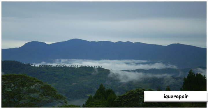 Gunung Bulu Nti, Ini 6 Fakta Menarik Salah Satu Gunung di Palu