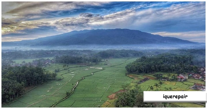 Konservasi dan Perlindungan Alam
